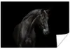 MuchoWow® Poster Pferd - Tier - Schwarz 90x60 cm - Produktbild-Vorschau 5