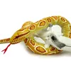 Goldpython HONEY Albino Schlange Plüschschlange Python gelb Produktbild-Vorschau 5