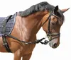 Kerbl Ausbindezügel 2 Stk. Schwarz Pony 323599 Produktbild-Vorschau 5