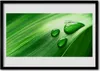 Bild 100x70 MDF-Rahmen Wandkunst Blatt Wassertropfen Produktbild-Vorschau 1