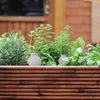 Relaxdays Coni di terracotta per irrigazione, set da 4, Anteprima dell’immagine prodotto 5