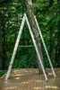 A ladder is set up in an A-frame configuration around a tree trunk, on a wooden deck, with a forest in the background. Anteprima dell’immagine prodotto