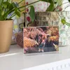 Tischaufsteller oder Menükarte aus Acryl für DIN A5 von HMF mit den Maßen 15.5 x 21.7 x 8.4 cm Produktbild-Vorschau