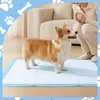 Dionizos Welpenunterlagen 60x90 cm – 100 Stück – 5-lagige Produktbild-Vorschau 2
