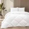A white comforter and two pillows are neatly arranged on a bed, with a potted plant and a curtain in the background. Produktbild-Vorschau