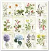 Scrapbooking-Papier Set 30×30 cm – SLS-035 Herbarium – ITD Produktbild-Vorschau 7