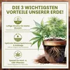 Green Home Grow Erde All Mix 72 L – Erde für Wachstum, Produktbild-Vorschau 3