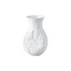Rosenthal 14255-100102-26026, Porcelán, Vase of Phases, 260 Náhled obrázku produktu 2