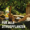 COMPOHnojivo pro citrusové rostliny 500 ml Náhled obrázku produktu 9