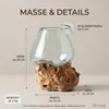 AlPa Living Großes Windlicht Glas auf Wurzelholz – Vase & Produktbild-Vorschau 4