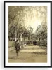 Gerahmtes Poster - Schwarzer Rahmen - Park Spaziergang Baum Produktbild-Vorschau 1