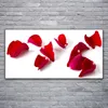 Glasbilder 120x60 Wandbild Druck auf Glas Blütenblätter Produktbild-Vorschau 2