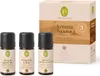 Three small bottles of essential oil are arranged in front of a product box. Náhľad obrázku produktu