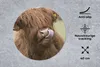 MuchoWow® Mauspad Mousepad Schottischer Highlander - Braun Produktbild-Vorschau 2