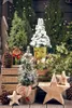 Picea glauca 'Conica', Zuckerhutfichte, kompakt, 20–30 cm Produktbild-Vorschau 8