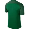 Nike Y NK DRY TROPHY III JSY SS | PINE GREEN/GORGE Produktbild-Vorschau 2