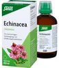 Salus Echinacea-Tropfen 100 ml Produktbild-Vorschau 3