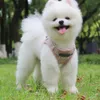 Set harnais et laisse pour gilet de chien, ceinture Voir les images du produit 2