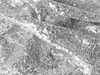 Paillettenstoff Meterware 150 cm Breite, 3 mm Pailletten Produktbild-Vorschau 2