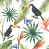 Coloray Fototapete 312x219 cm Vlies-Fototapete - Toucan Produktbild-Vorschau 2