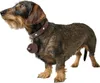 Hunter Anhänger Hundemarken-Etui Love braun, Größe: M Produktbild-Vorschau 5