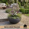 BigDean XL Pflanzschale 59cm x21cm DXH ideal auch als Produktbild-Vorschau 7