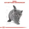 Royal Canin British Shorthair Kitten, Kitten, Britisch Produktbild-Vorschau 8