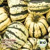 Samenliebe  Kürbis Samen | Sweet Dumpling - klein - Produktbild-Vorschau 4