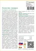 SAFLAX - Červená rieka - Eukalyptus - Eucalyptus Náhľad obrázku produktu 3