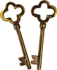 Two antique-looking brass keys with clover-shaped bows and ornate teeth, isolated on a white background. Produktbild-Vorschau