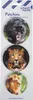 School Mood 3er Patchy-Set Finn (Raubkatzen) Produktbild-Vorschau 2
