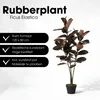 Mica Decorations Rubberplant – Kunstplant in Pot – Productafbeelding-voorbeeld 2