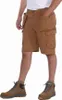 Carhartt® STEEL MULTIPOCKET SHORT 104201, Farbe:carhartt® Produktbild-Vorschau 15