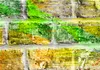 Vlies Fototapete SteinWand Steine Stein Ziegel bunt 400x280 Produktbild-Vorschau 3