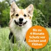 Halsband ARDAP Zecken- und Flohhalsband große Hunde Produktbild-Vorschau 4