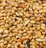 Versele Laga Tropische Finken 1Kg - Futter Für Kleine Produktbild-Vorschau 4