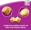 Marketing image showing close-ups of filled snacks with text describing them. Produktbild-Vorschau