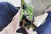 MuchoWow® Handyhülle Schutzhülle Hülle für iPhone 11 Pro Produktbild-Vorschau 3