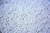 LK Baits peletky Fluoro Pellets Carp Secret 1kg 04150504 Produktbild-Vorschau 3