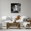Bild auf Leinwand - Leinwandbild - Tier Zebra Streifen - Produktbild-Vorschau 6