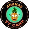 TTCarp Ananas Pellet N-Butirrico 2 mm 1kg Anteprima dell’immagine prodotto 3