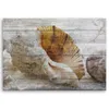 Leinwandbild Vintage-Muscheln 120x80 Feeby Beige bild für Produktbild-Vorschau 3