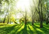 Vlies Fototapete - Sunny May Day 400x280 cm Landschaften Produktbild-Vorschau 5