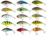 Salmo Fatso Floating F10F Spotted Brown Perch Produktbild-Vorschau 2