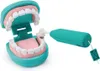 Set da dentista, 33 pezzi. Anteprima dell’immagine prodotto 9