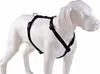 Hunter Nylon Hunde Geschirr " Vario Ypsilon"  Gr. XS Farbe Produktbild-Vorschau 2