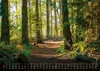 Wald - Erholung für Mensch und Tier - 2027 - Kalender DIN Produktbild-Vorschau 12