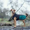 Hunter Hundemantel Uppsala Allrounder anthrazit/petrol, Produktbild-Vorschau 10