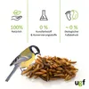 UGF Soldatenfliegenlarven getrocknet 2 x 1kg, Vogelfutter Produktbild-Vorschau 5