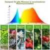 A spectral graph showing light wavelengths suitable for plant growth, with accompanying images of different plant types and their growth stages. Produktbild-Vorschau